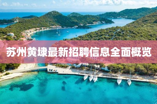 蘇州黃埭最新招聘信息全面概覽