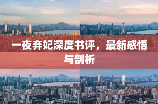 一夜棄妃深度書評(píng)，最新感悟與剖析