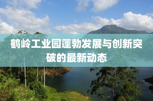 鶴嶺工業(yè)園蓬勃發(fā)展與創(chuàng)新突破的最新動態(tài)
