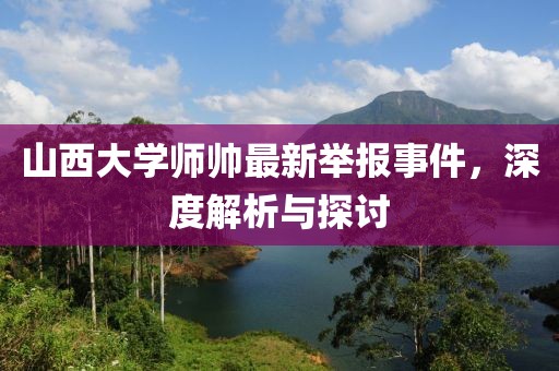 山西大學(xué)師帥最新舉報(bào)事件，深度解析與探討