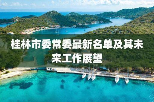 桂林市委常委最新名單及其未來(lái)工作展望