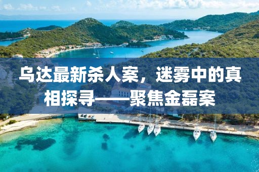 烏達最新殺人案，迷霧中的真相探尋——聚焦金磊案
