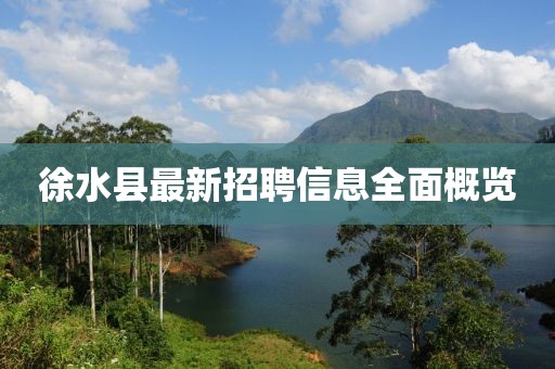 徐水縣最新招聘信息全面概覽