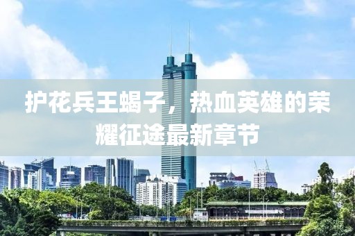 護花兵王蝎子，熱血英雄的榮耀征途最新章節(jié)