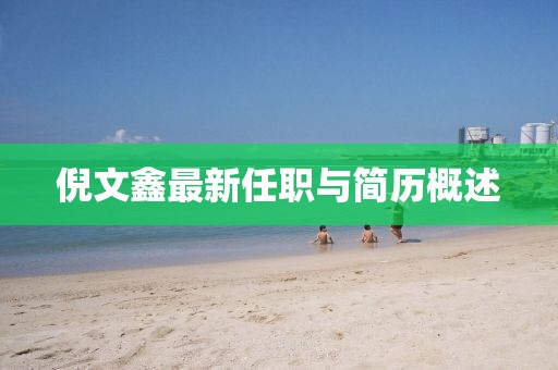 倪文鑫最新任職與簡歷概述