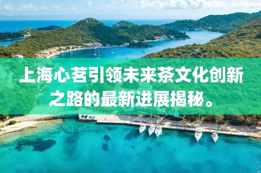 上海心茗引領(lǐng)未來(lái)茶文化創(chuàng)新之路的最新進(jìn)展揭秘。