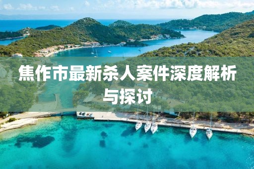 焦作市最新殺人案件深度解析與探討