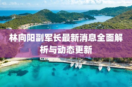 林向陽副軍長最新消息全面解析與動態(tài)更新