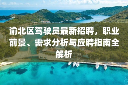渝北區(qū)駕駛員最新招聘，職業(yè)前景、需求分析與應(yīng)聘指南全解析