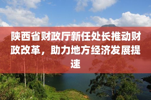 陜西省財政廳新任處長推動財政改革，助力地方經(jīng)濟(jì)發(fā)展提速
