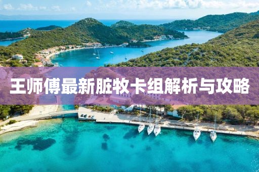 王師傅最新臟牧卡組解析與攻略