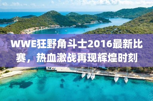 WWE狂野角斗士2016最新比賽，熱血激戰(zhàn)再現(xiàn)輝煌時刻