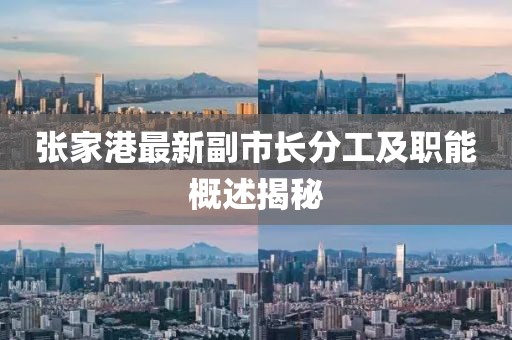 張家港最新副市長分工及職能概述揭秘