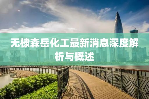 無棣森岳化工最新消息深度解析與概述