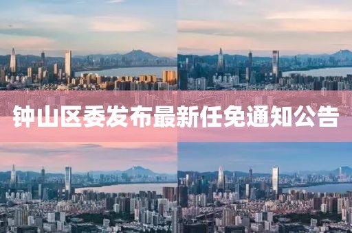 鐘山區(qū)委發(fā)布最新任免通知公告