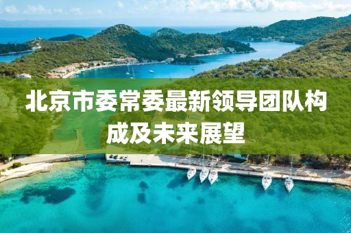 北京市委常委最新領(lǐng)導(dǎo)團隊構(gòu)成及未來展望