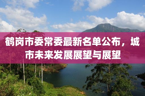 鶴崗市委常委最新名單公布，城市未來發(fā)展展望與展望