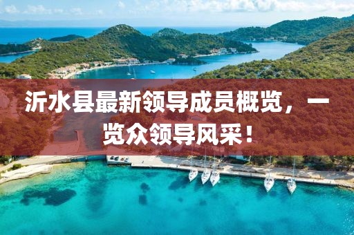 沂水縣最新領(lǐng)導(dǎo)成員概覽，一覽眾領(lǐng)導(dǎo)風(fēng)采！
