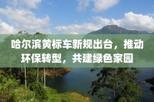 哈爾濱黃標(biāo)車(chē)新規(guī)出臺(tái)，推動(dòng)環(huán)保轉(zhuǎn)型，共建綠色家園