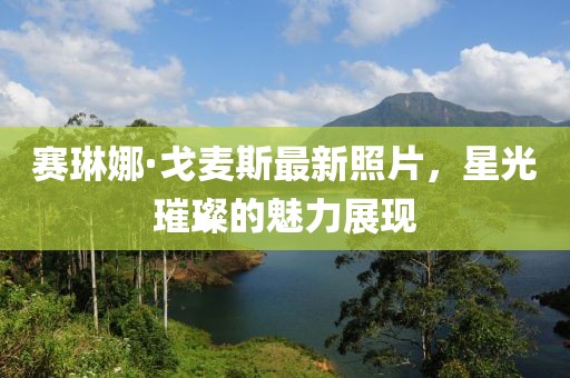 賽琳娜·戈麥斯最新照片，星光璀璨的魅力展現(xiàn)