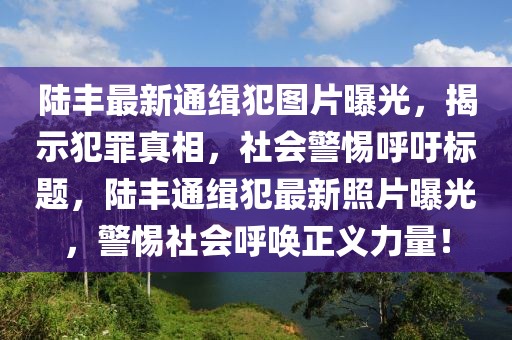 陸豐最新通緝犯圖片曝光，揭示犯罪真相，社會警惕呼吁標(biāo)題，陸豐通緝犯最新照片曝光，警惕社會呼喚正義力量！