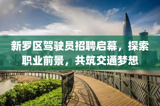 新羅區(qū)駕駛員招聘啟幕，探索職業(yè)前景，共筑交通夢想