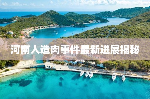河南人造肉事件最新進(jìn)展揭秘