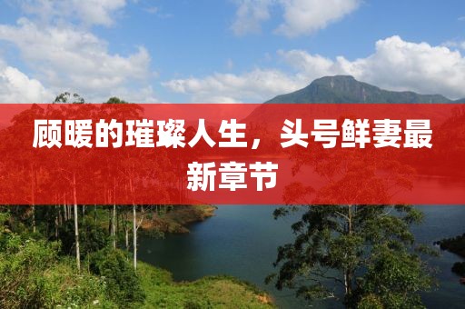 顧暖的璀璨人生，頭號(hào)鮮妻最新章節(jié)