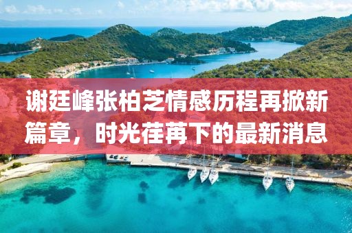 謝廷峰張柏芝情感歷程再掀新篇章，時(shí)光荏苒下的最新消息
