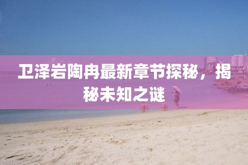 衛(wèi)澤巖陶冉最新章節(jié)探秘，揭秘未知之謎