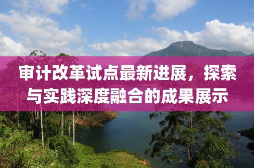 審計改革試點最新進展，探索與實踐深度融合的成果展示