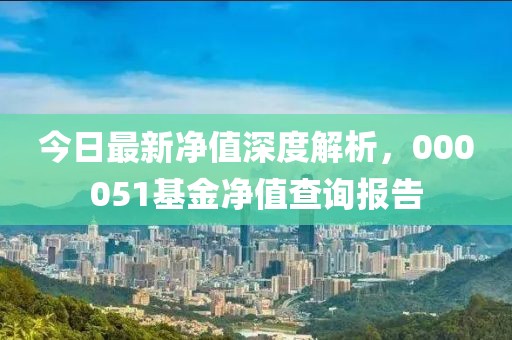 今日最新凈值深度解析，000051基金凈值查詢報告