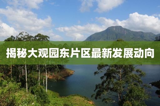 揭秘大觀園東片區(qū)最新發(fā)展動向