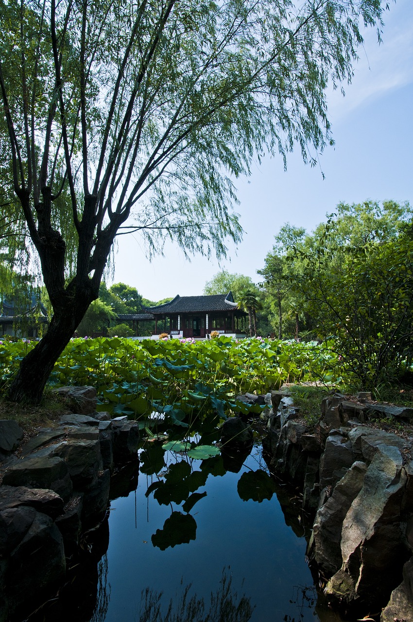 津雄鐵路最新進(jìn)展、影響與展望，揭秘最新動(dòng)態(tài)與未來趨勢(shì)