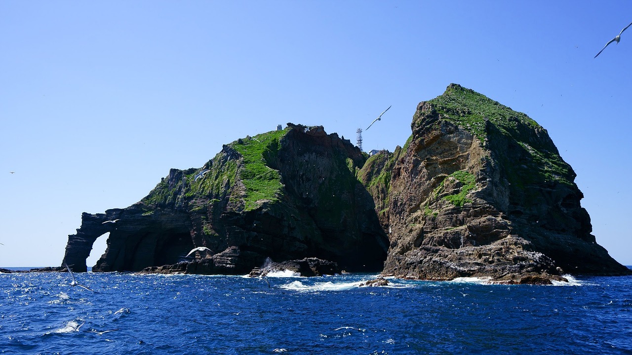 鈞魚島最新消息視頻揭秘，東海釣魚島爭端的新動態(tài)
