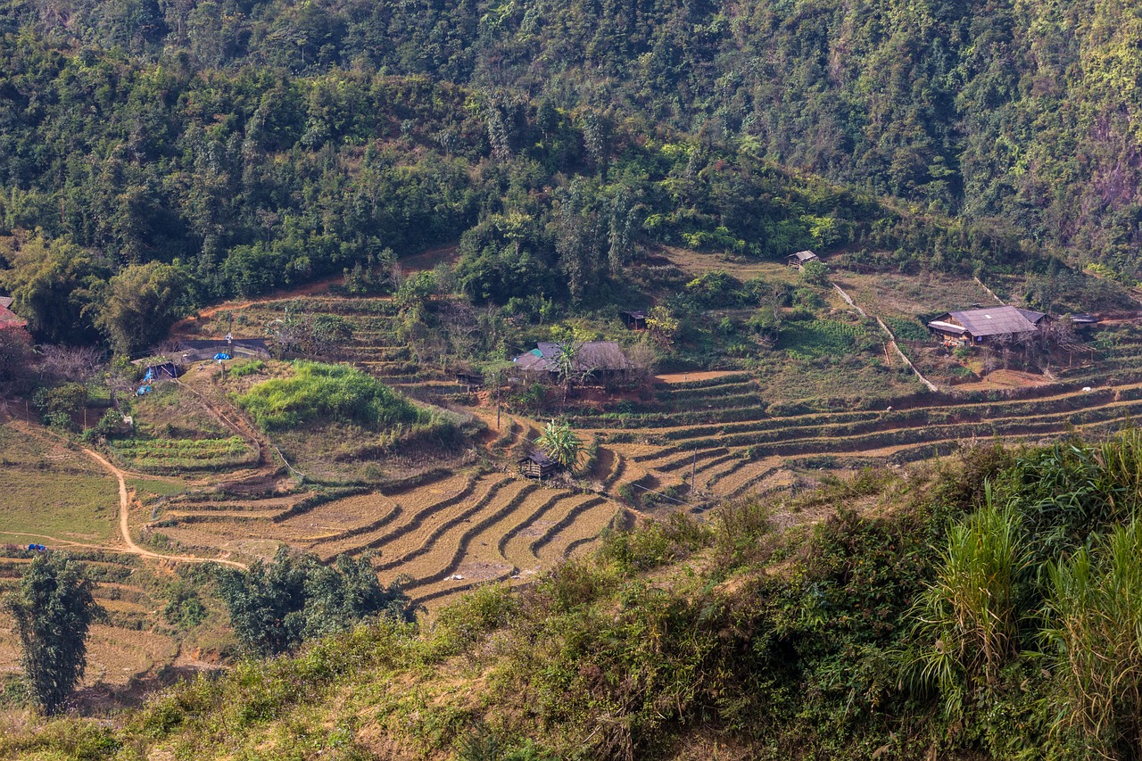 符離鎮(zhèn)最新規(guī)劃圖揭曉，展望繁榮未來，符離鎮(zhèn)2016規(guī)劃展望