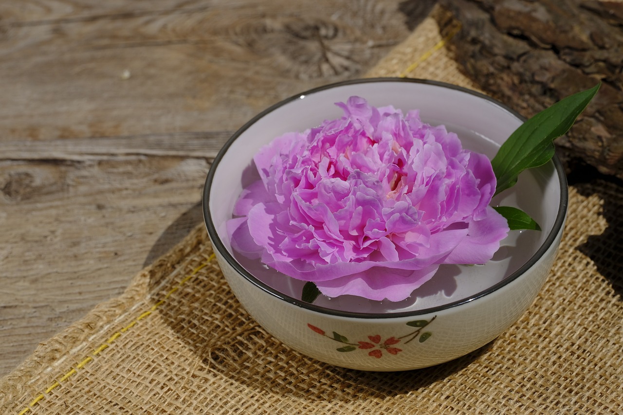 大康牧業(yè)利好消息深度解析，最新動(dòng)態(tài)帶來(lái)積極前景