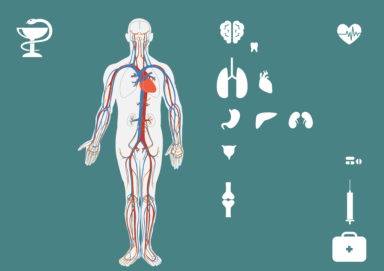 急診搶救流程圖優(yōu)化，提升搶救成功率與急救服務(wù)質(zhì)量