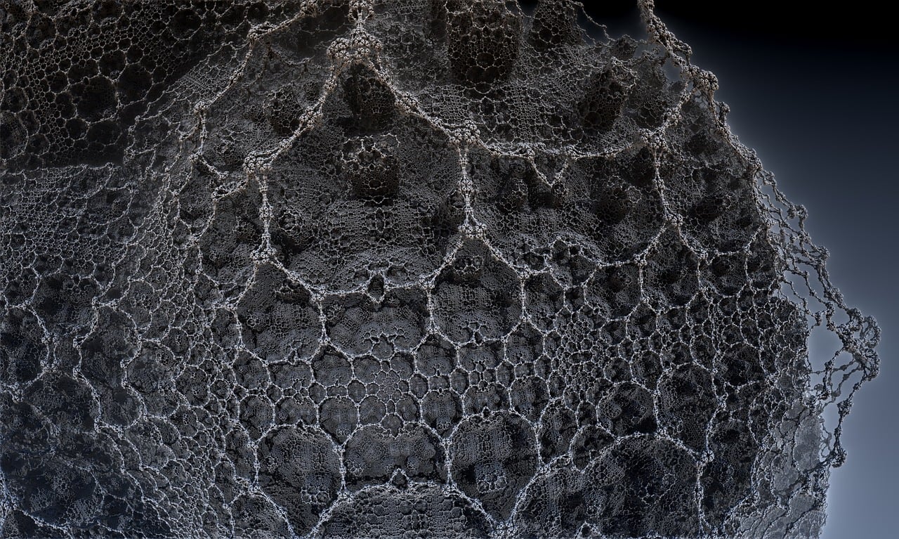 遼寧隋顯利最新動(dòng)態(tài)，傳奇人物的嶄新篇章