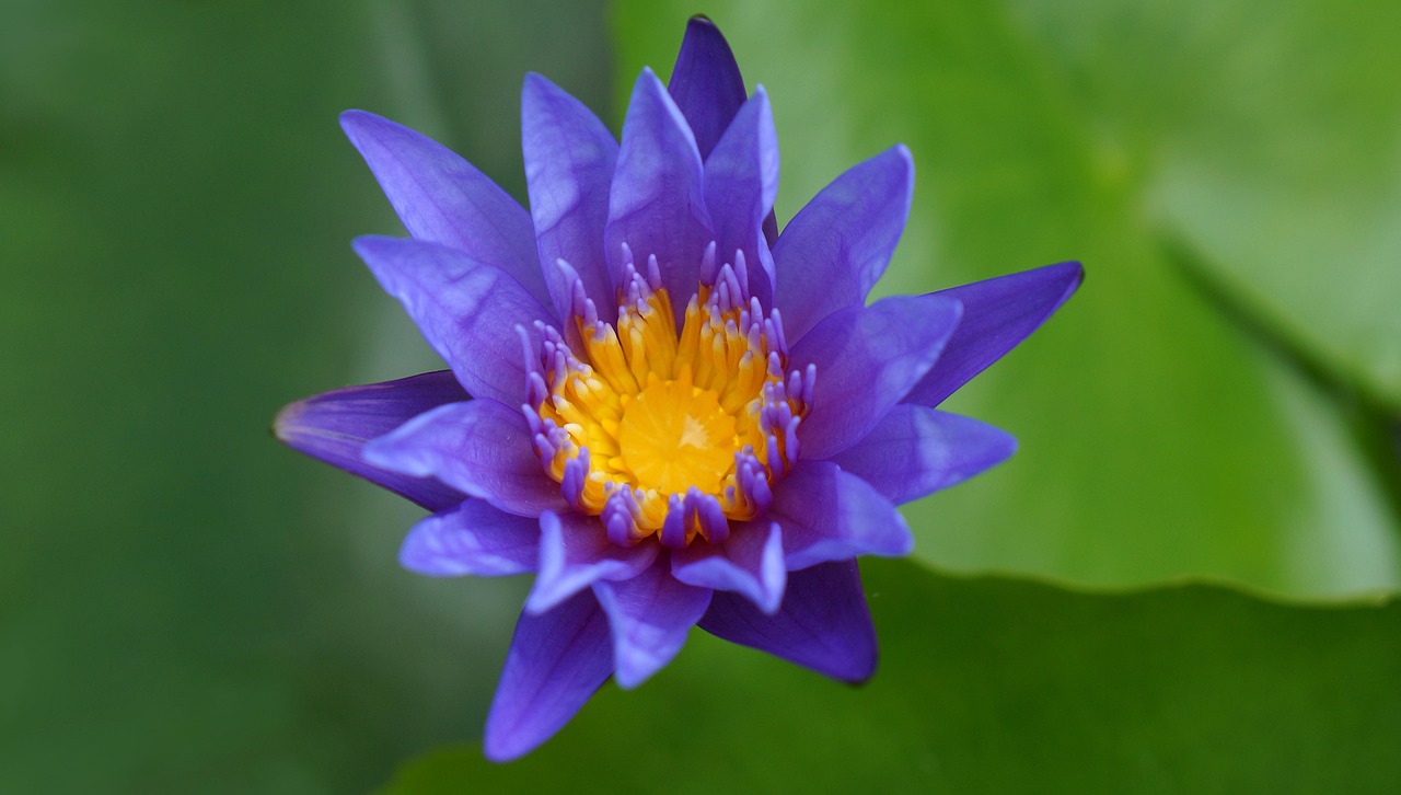 雙陽區(qū)火車站邁向現(xiàn)代化，提升服務(wù)質(zhì)量，最新動態(tài)報告