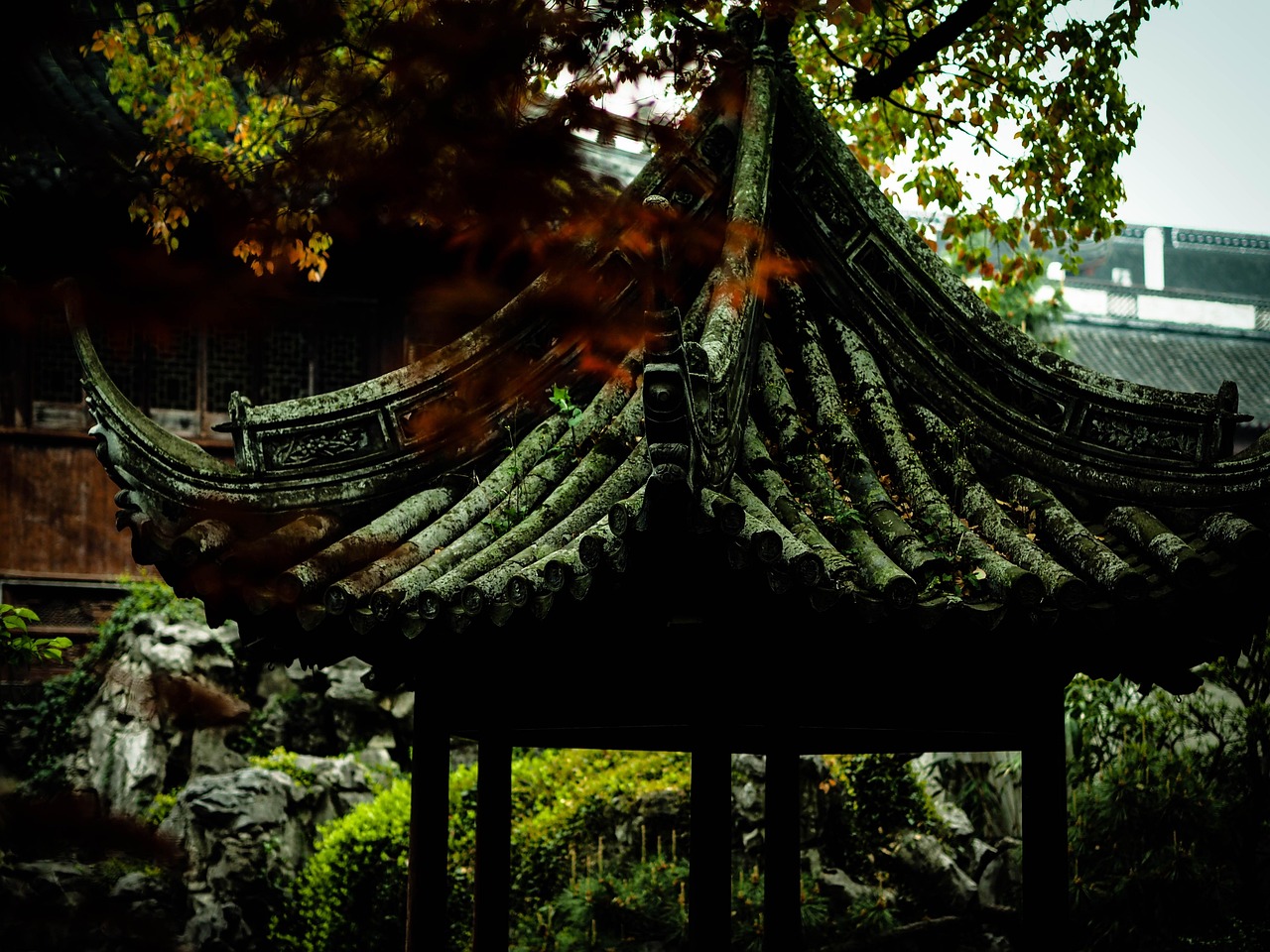 中國女排隊蓄勢待發(fā)，展現(xiàn)新篇章，最新消息與動態(tài)速遞