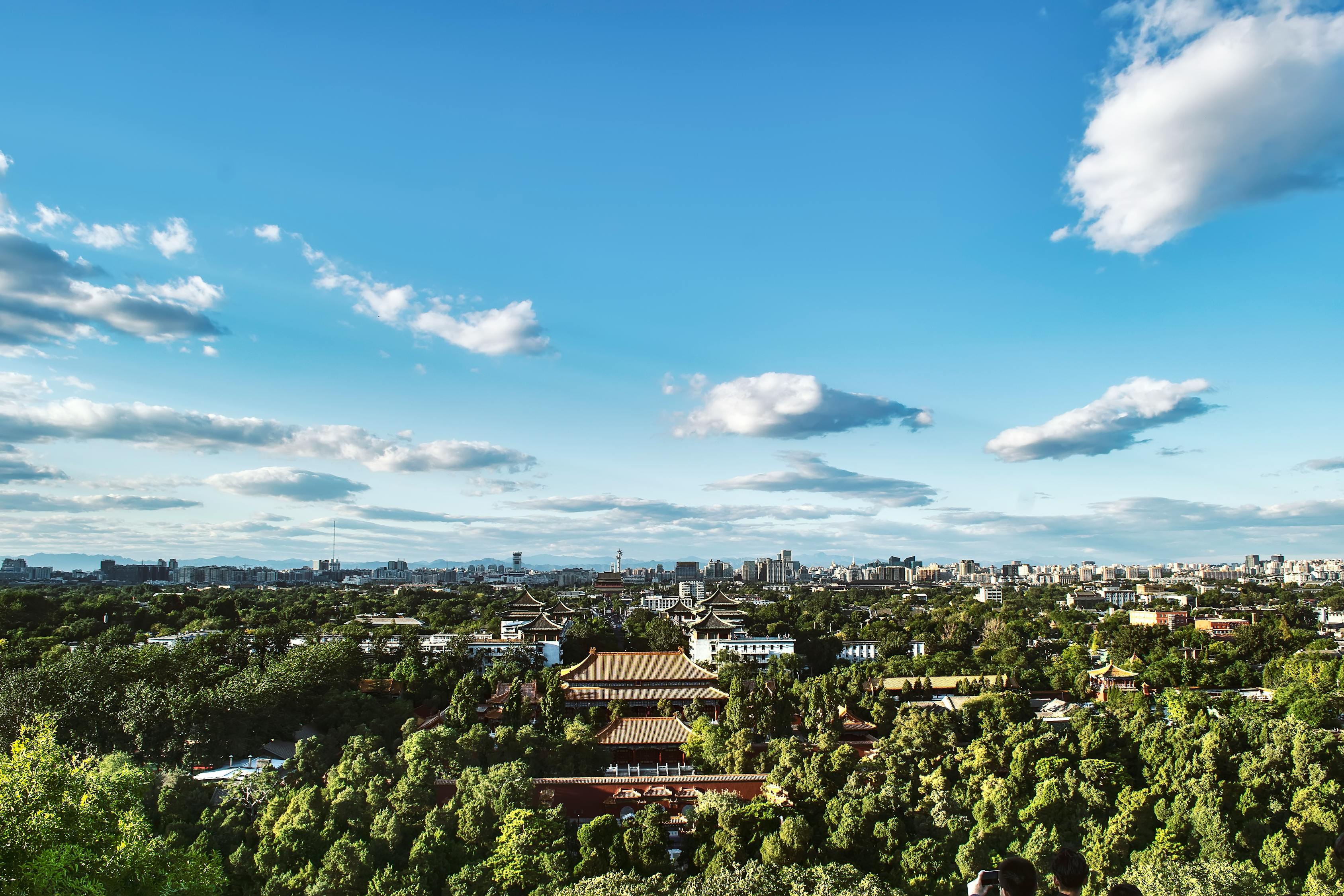 長(zhǎng)沙洞井路最新動(dòng)態(tài)，城市發(fā)展與民生改善同步前行