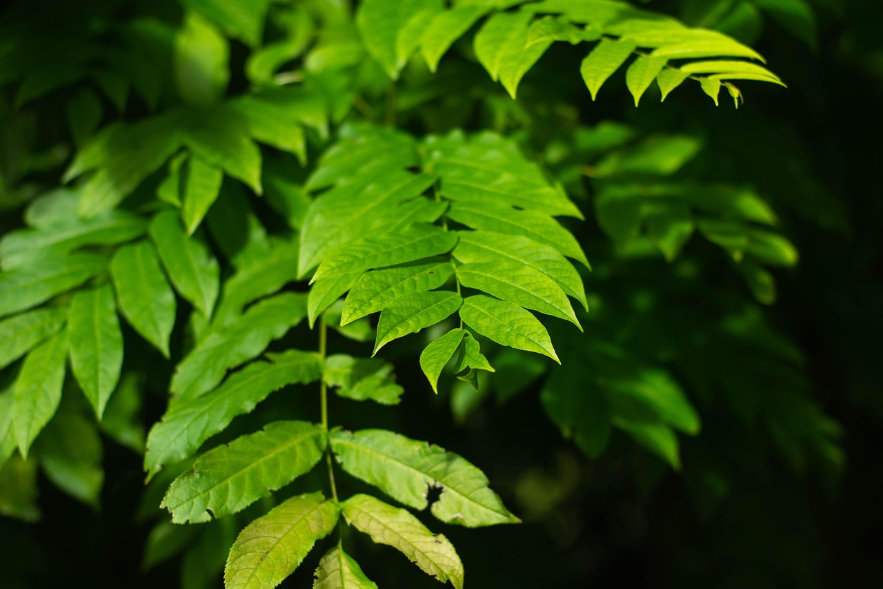 北海水印泉山最新動態(tài)，城市發(fā)展與綠色生態(tài)的和諧共鳴