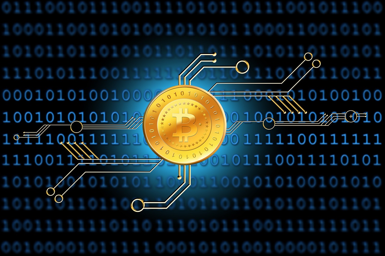 最新傳染病分類及種類概述，全面解析傳染病的世界