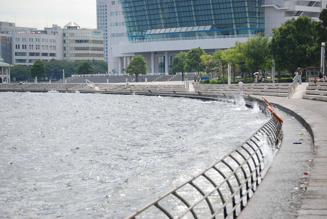 鄭州海昌海洋公園最新動態(tài)揭秘，揭開神秘面紗，展現(xiàn)海洋魅力奇觀