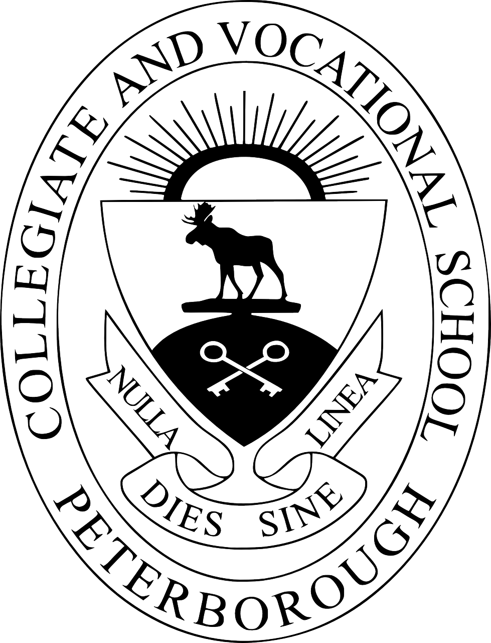 共青城大學(xué)城蓬勃發(fā)展，教育新篇章的最新消息