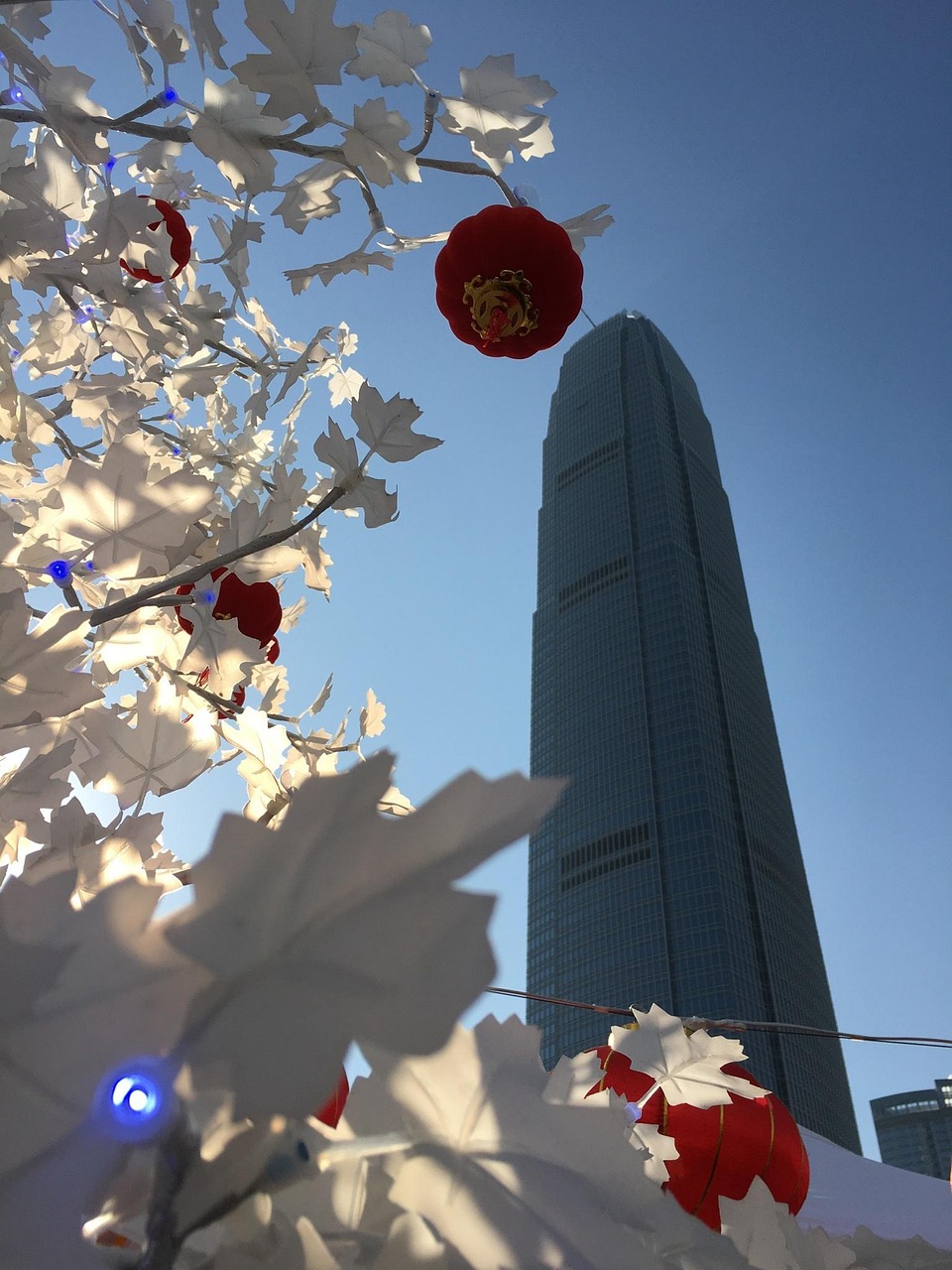 漫漫長(zhǎng)夜新版本砍樹(shù)探索，全新體驗(yàn)之旅