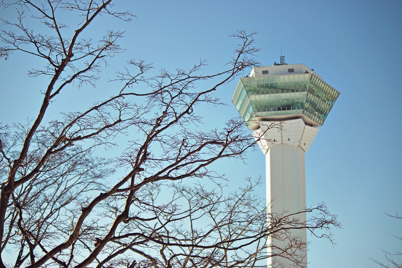 決斗之城最新動態(tài)，新時代卡牌競技盛宴揭秘